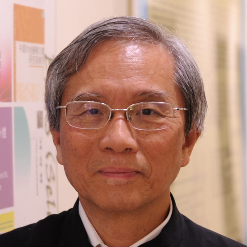 Professor Tse Shek Kam